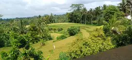 di jual tanah cantik dan strategis luas 26 are .view sawas teraserin