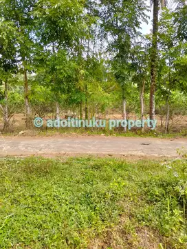 Tanah persegi dengan lebar muka 60 m di mertoyudan magelang