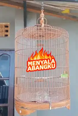 Sangkar burung murai