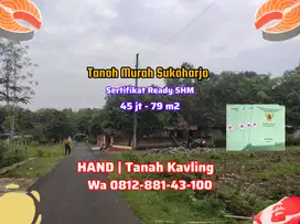 TANAH MURAH SERTIFIKAT READY SHM DI BENDOSARI SUKOHARJO DEKAT JLT
