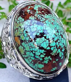 Pirus Persia mumbul