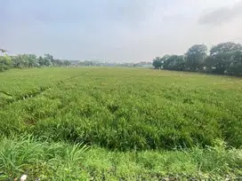 Tanah Strategis di bawah NJOP di Ciwastra Buah Batu Bandung