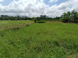 Dijual Tanah Ukuran Kecil di Tanah Lot Kedungu