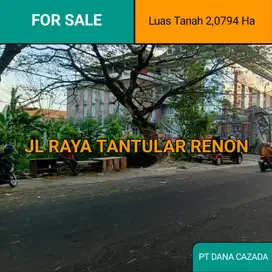 TANAH JL TANTULAR RENON 2,0794 HA