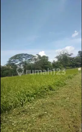 Tanah Luas 398 m² Grand Golf Modernland Tangerang