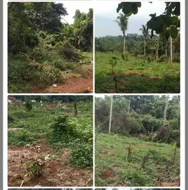 Dijual tanah kebun cocok peternakan, 18 Ha, 150rb=m