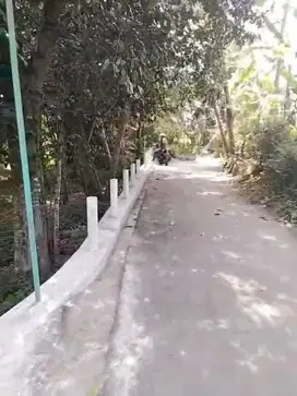 TANAH PEKARANGAN 734M2 HOOK 3 MUKA AKSES JL ASPAL DKT PASAR CEBONGAN