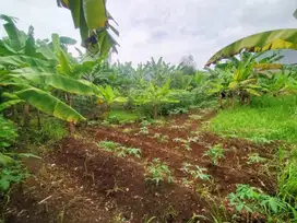 Tanah di Pondok Cabe ilir Pamulang - Tangerang Selatan