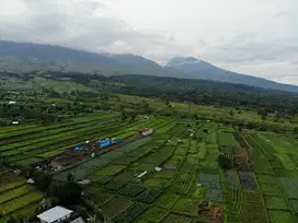 Jual Cepat Tanah Premium 6140m² SHM di Pintu Masuk Gunung Rinjani