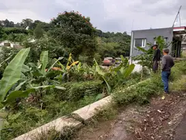 Tanah Murah Cocok Untuk Villa Cimenyan Bandung