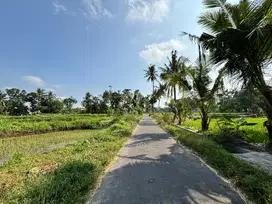 Dijual tanah shm di timur lapangan grogolan