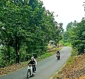 TANAH MURAH DI PINGGIR JALAN UTAMA ANTAR PROVINSI SUM SEL DAN LAMPUNG