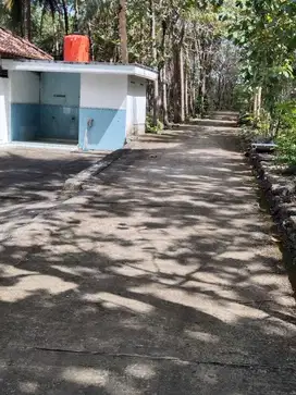 JUAL TANAH DI SIDOREJO LENDAH KULONPROGO DEKAT MASJID
