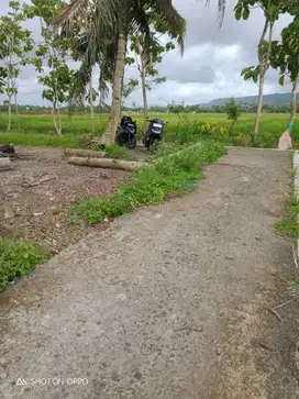 Tanah Pekarangan Kavling Murah di Kretek Bantul TP 033
