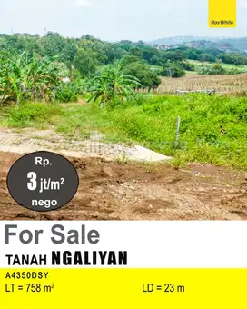 DIJUAL TANAH DI NGALIYAN A4350