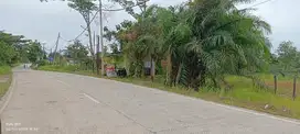 Bismillah dijual tanah 1 Ha Industri Balikpapan SHM jalan Utama