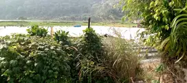 TANAH LOS DANAU BEDUGUL BALI