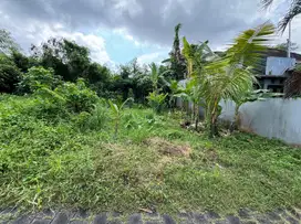 Tanah Kavling Istimewa Nyitdah Dekat canggu dan Tabanan