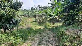 Jual tanah murah