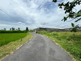 Tanah Murah Kaliurang Jogja, Cocok Bangun Villa/Homestay