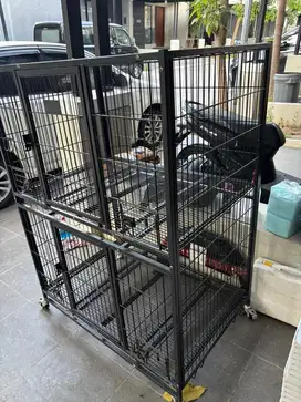 Kandang Anjing 2 tingkat