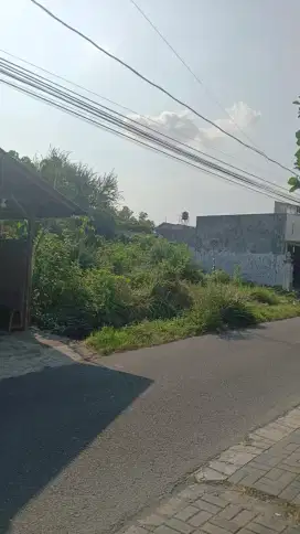 Tanah pekarangan rejowinangun yogyakarta