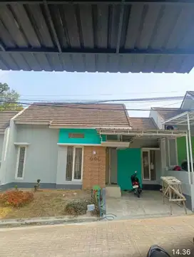 Rumah disewakan
