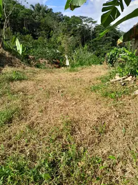 Jual Kebun, SHM, Kabupaten Kuningan, Rp 200 juta Nego.