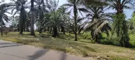 Dijual Tanah 2.3Ha Di Tanjung Morawa, Lengau Seprang SHM