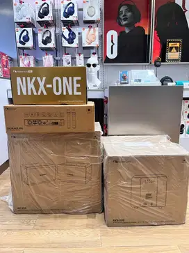READY HOME AUDIO KARAOKE NAKAMICHI