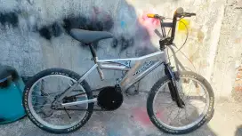 BMX Polygon UK 20