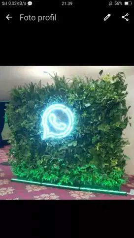 Vertical garden tanaman hias