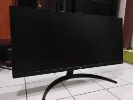 Monitor LG utra wide 29