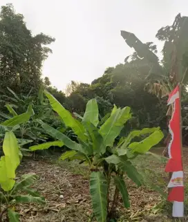 Dijual tanah kavling dekat citragran,strategis cocok kontrakan, gudang