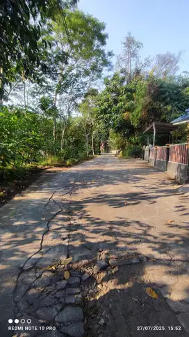 Tanah Sawah Pinggir Kampung Dekat Tirtonadi Mlati Sleman Yogyakarta