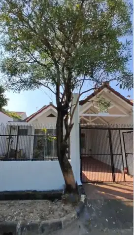 Dijual Cepat Rumah Luas 144 M2 di Cluster Cemara Banjar Wijaya