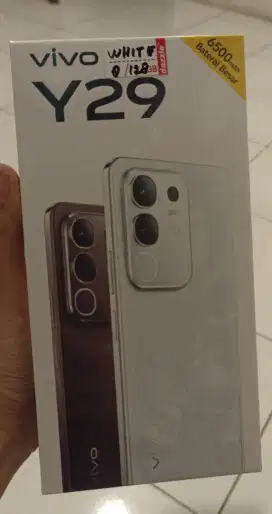Vivo Y29 Promo‼️