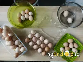 Telur Ayam Kampung Fresh