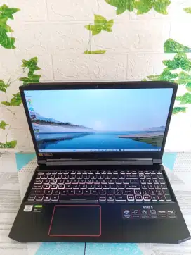 Acer Nitro AN 515 i5 gen 10 GTX 1650 Ti 8/512 Gb