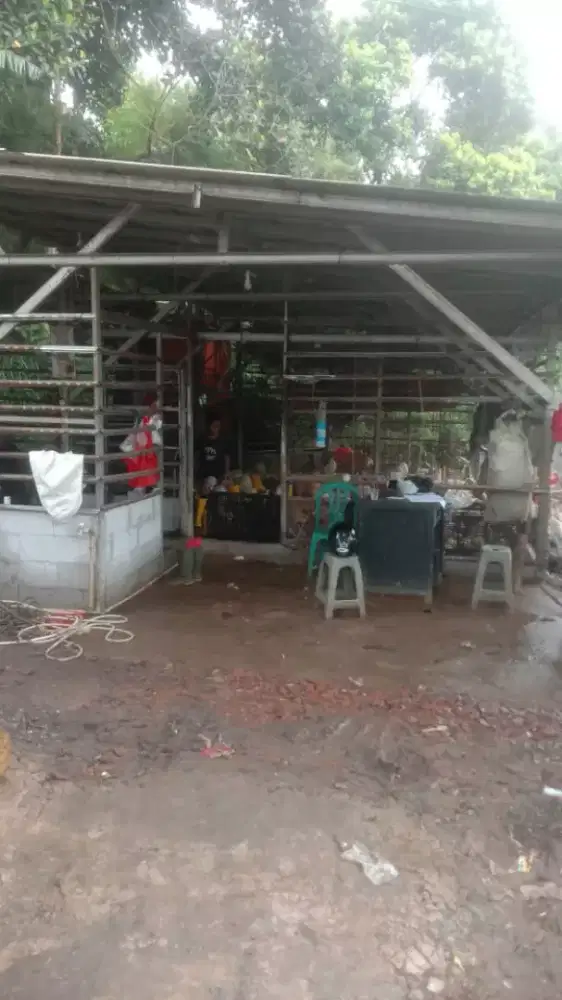 Dibutuhkan kasir untuk tempat pemotongan ayam broiler