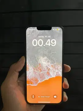 Iphone 13 Internal 128gb