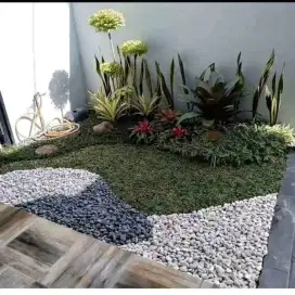Pembuatan taman rumah