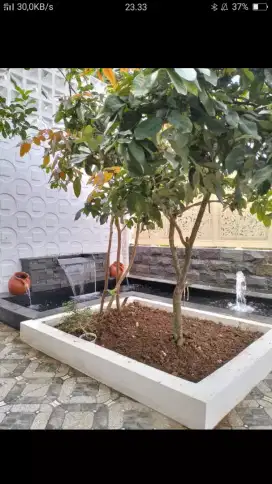 Kolam batu alam koi hias minimalis