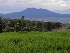 di jual lahan best view di Cicurug sukabumi