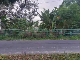 Tanah luas strategis pinggir aspal di Condongcatur dekat AMIKOM & UGM