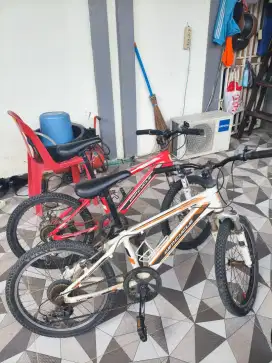 Dijual speda sepasang