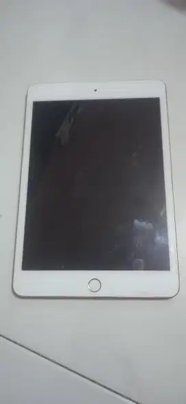 iPad mini 5 minus