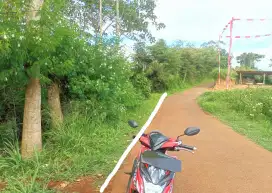 Tanah murah Pinggir Jalan Desa Ciwidey