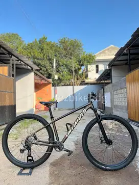 Spesialized Rockhopper Elite 29 Upgrade Like New