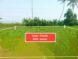 TANAH KEBUN MURAH DAN STRATEGIS DI DESA CIBEUTENG KECAMATAN CISEENG
